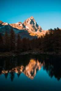 Shilajit