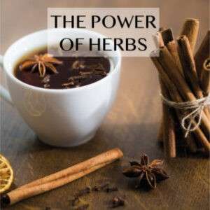 Cinnamon Capsules