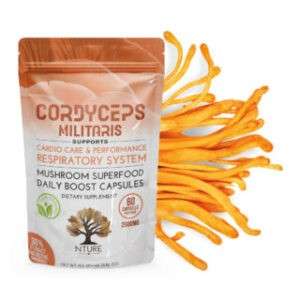 Cordyceps Militaris Capsules