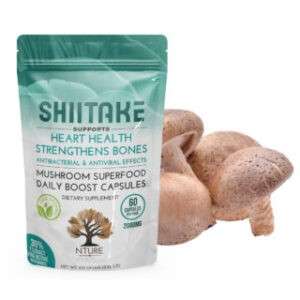 SHIITAKE 1 320x320 1