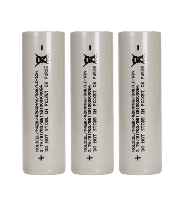 Molicel P42A 20700 Battery Pack Of 2